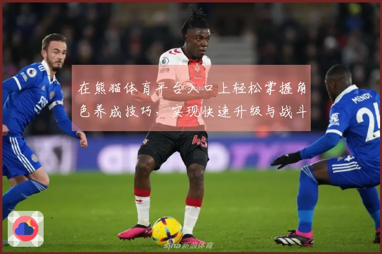 在熊猫体育平台入口上轻松掌握角色养成技巧，实现快速升级与战斗力提升