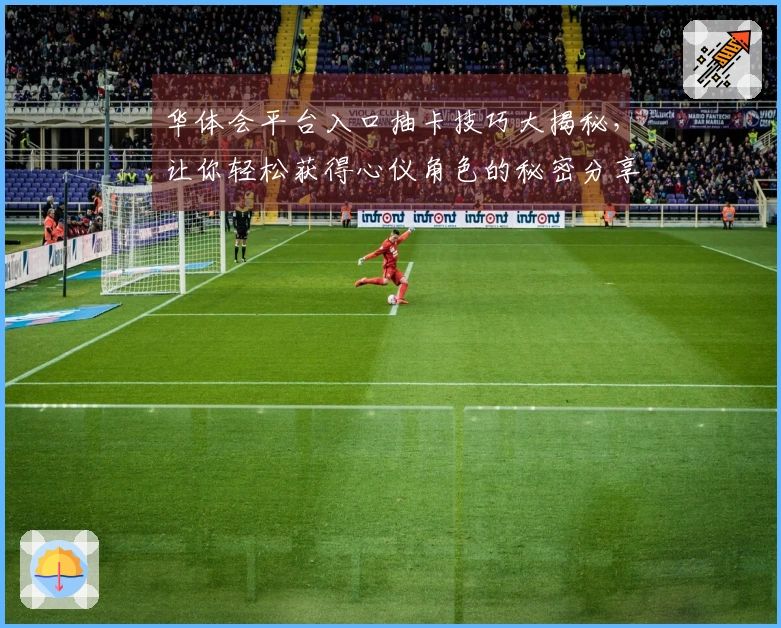 华体会平台入口抽卡技巧大揭秘，让你轻松获得心仪角色的秘密分享！